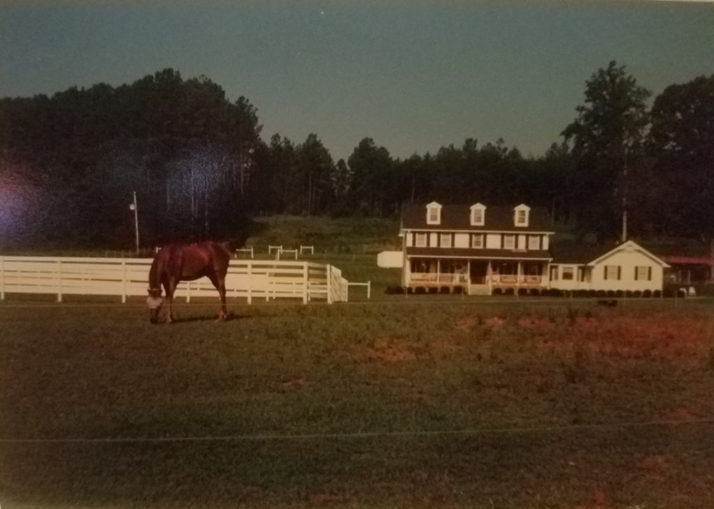 Horse Boarding Easley SC