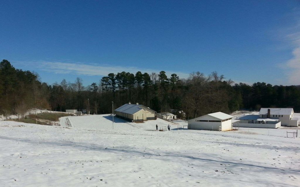 Horse Boarding Easley SC